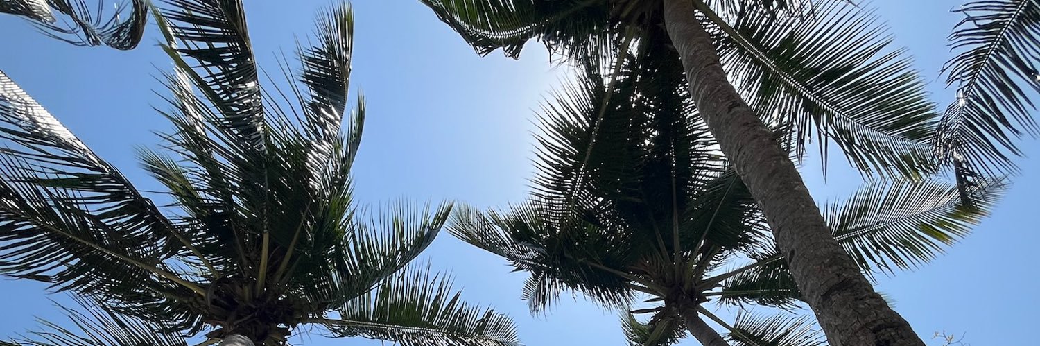 deanndrapersaud's profile banner image