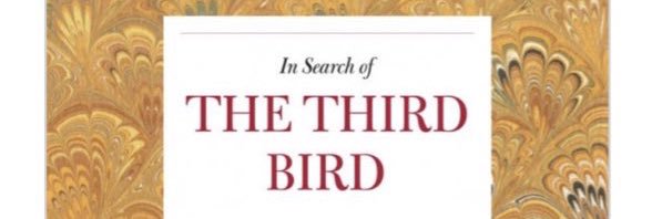 estheticalsoc's profile banner image