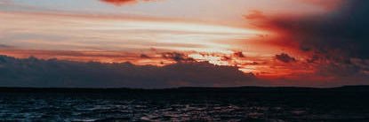 HopLog15's profile banner image