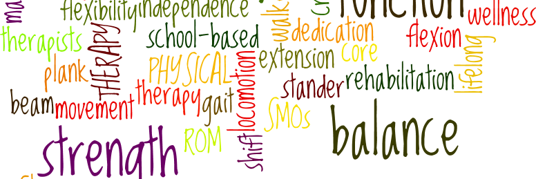 hcsdpt's profile banner image