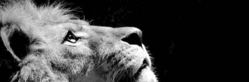 ShMac_'s profile banner image
