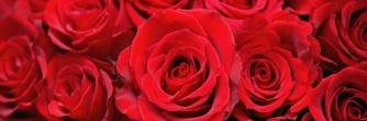 TarnTIS142's profile banner image