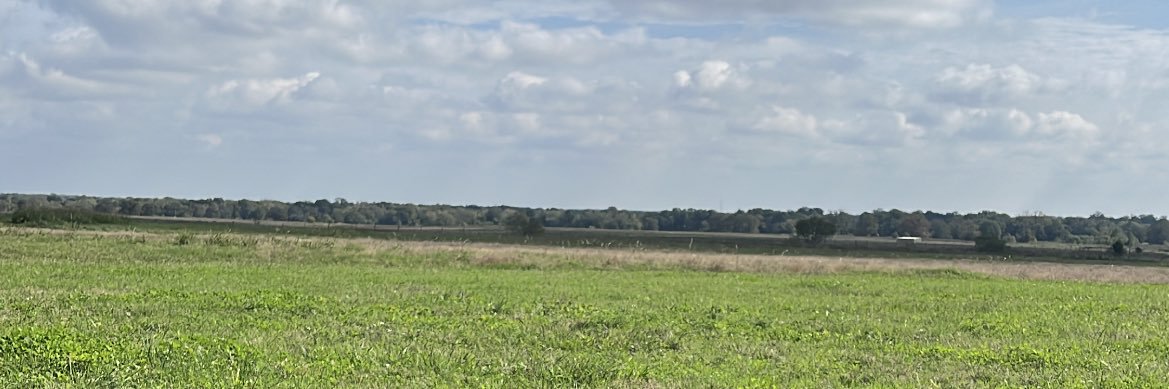 zachf32's profile banner image