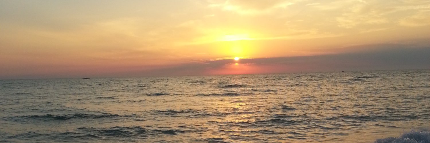 randomnessamber's profile banner image