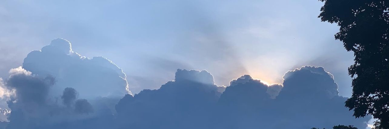 TC banner