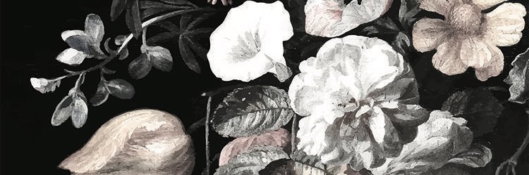 _haayl's profile banner image