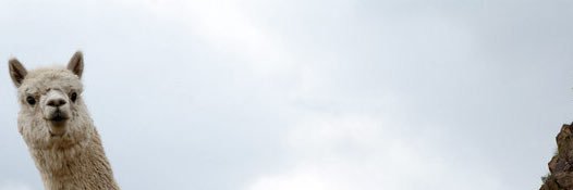 Sean_Maison's profile banner image