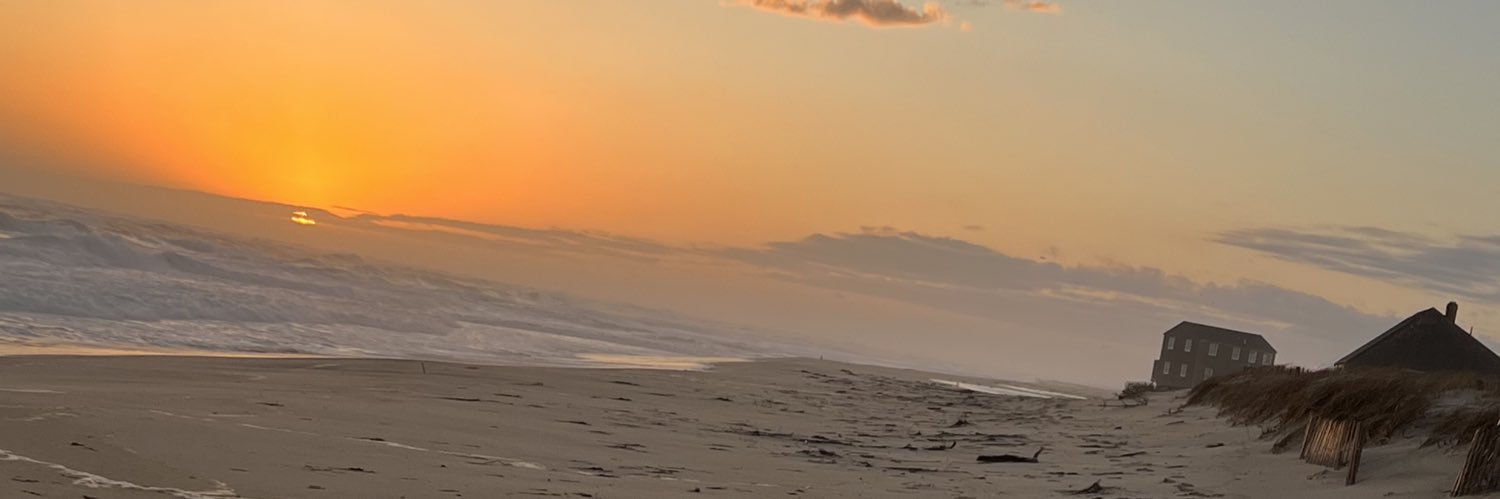 suzyklinck's profile banner image