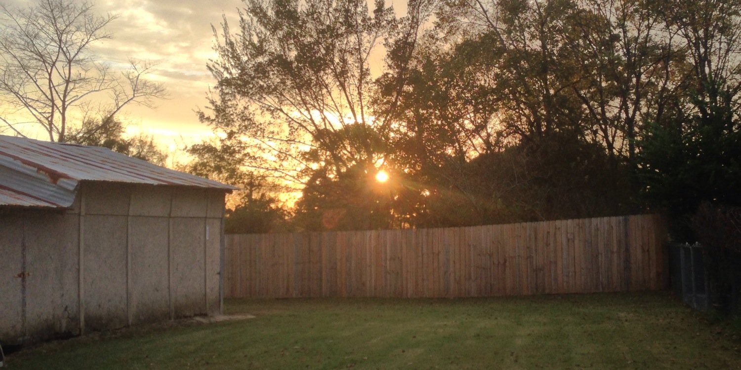 gabby_dortch's profile banner image