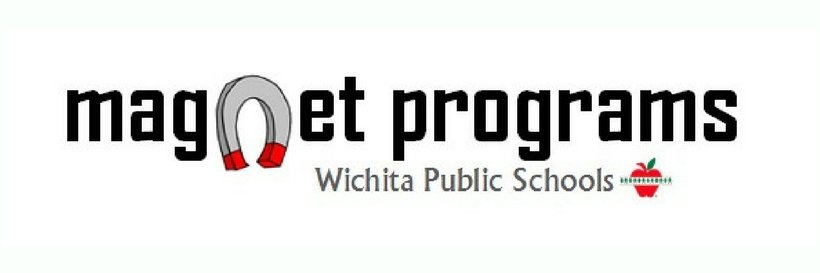 WPSMagnet banner