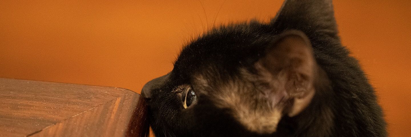WIrororo's profile banner image