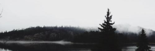 ChrisD_CDE's profile banner image