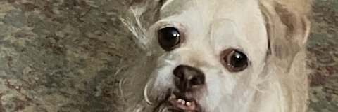 ChartaF's profile banner image