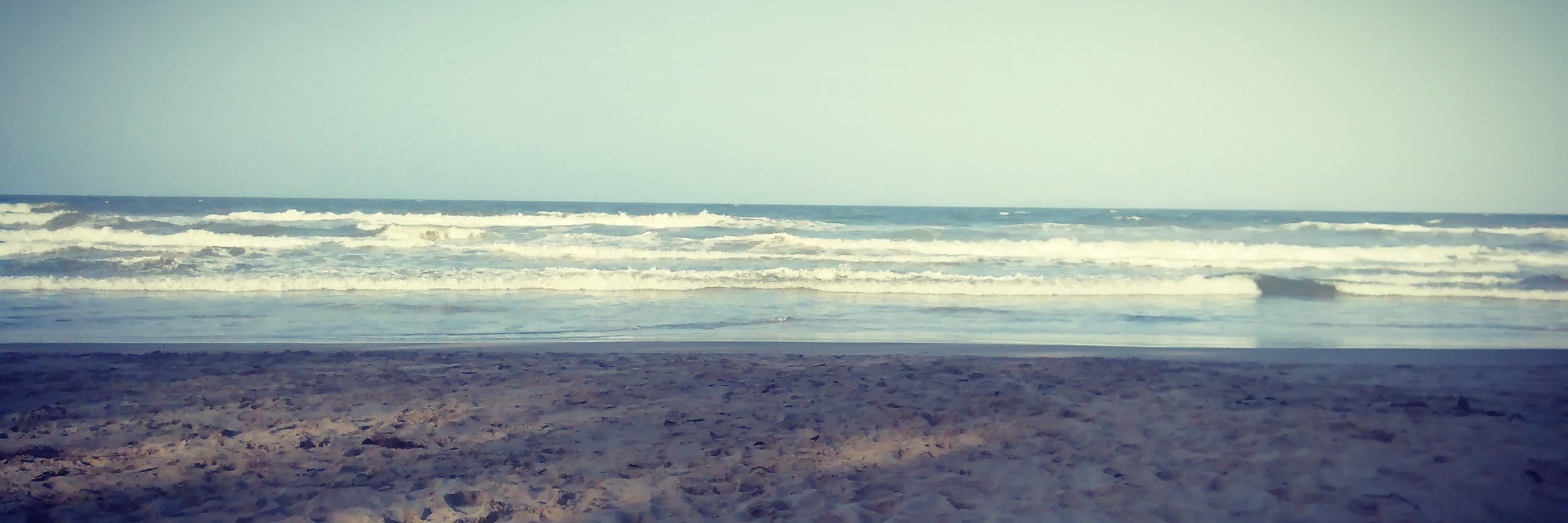 PieraDNA's profile banner image