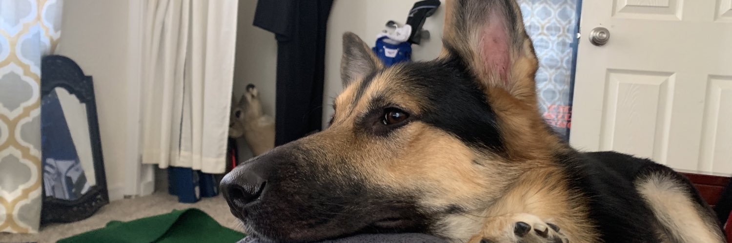 lindseyylew's profile banner image