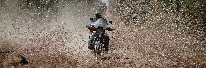 Earthquake Red Zone Needed in Washington State banner