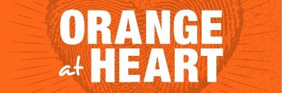 Cynthia Alemán banner