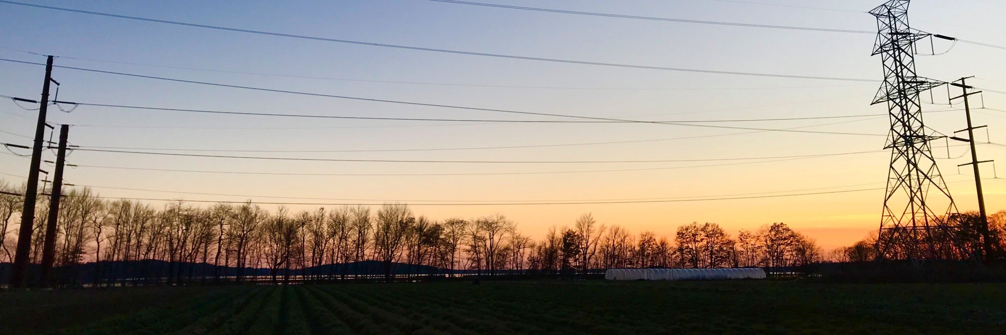 sarahmeyerhoff's profile banner image
