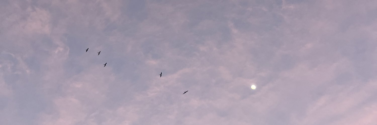 marelyvy's profile banner image