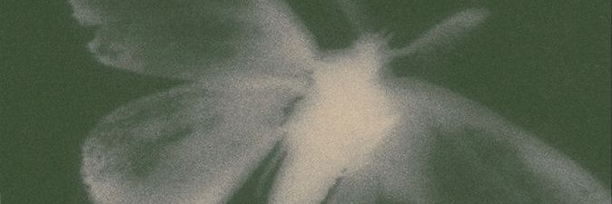 Agus. banner