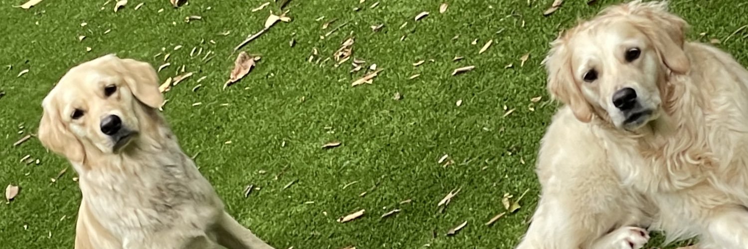 Steven Moore banner