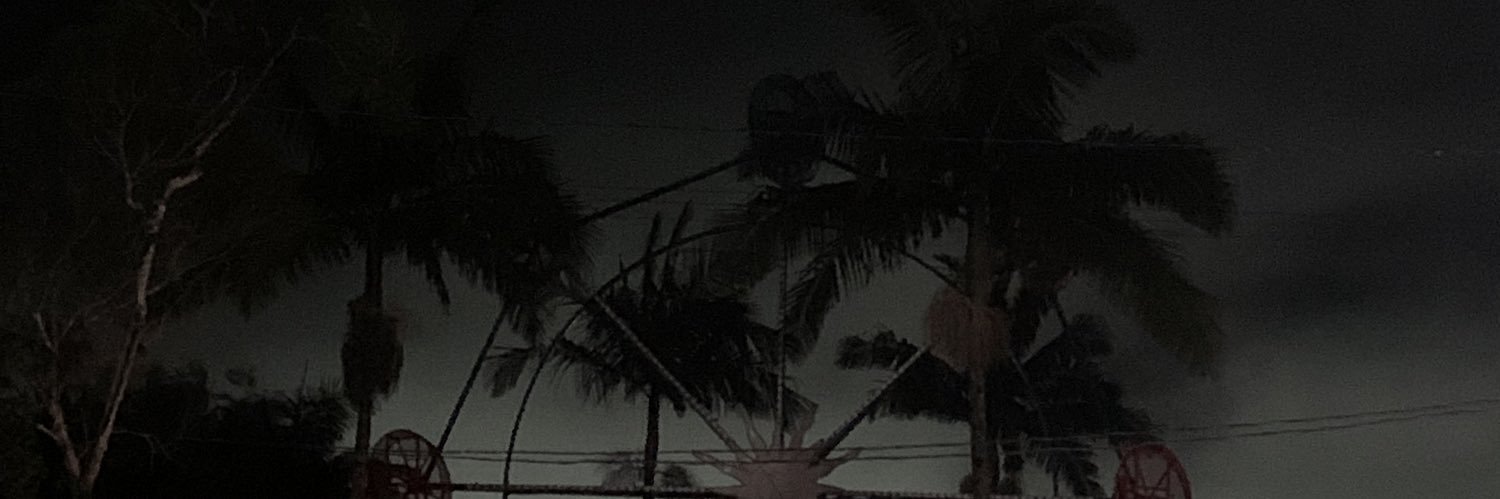 bruna s banner