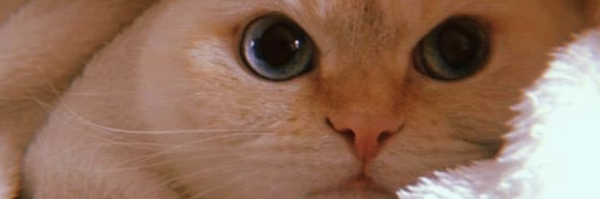chloeworthy's profile banner image