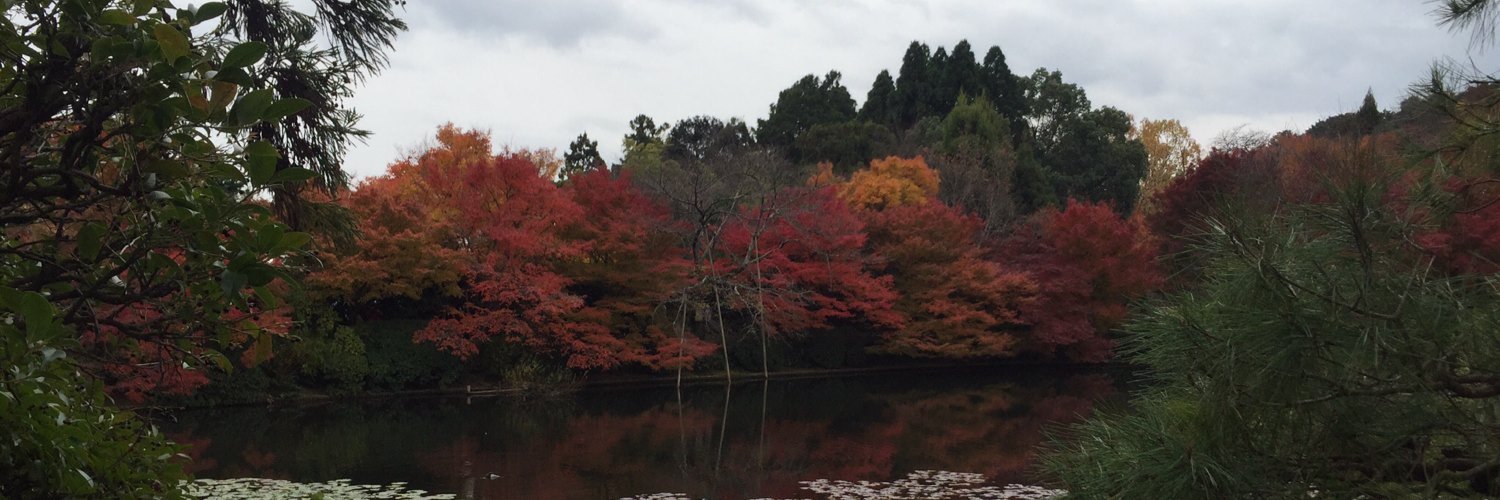 Kutxito10's profile banner image