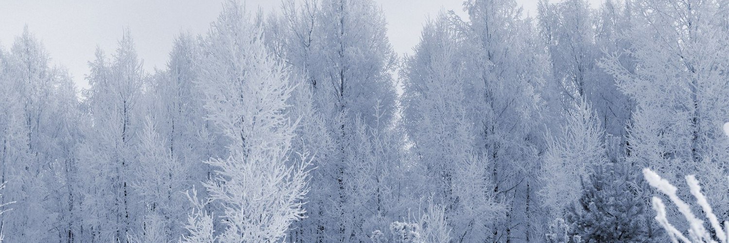 BiroMangcred's profile banner image