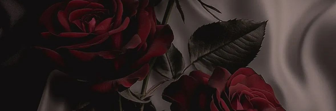 Chrome749's profile banner image