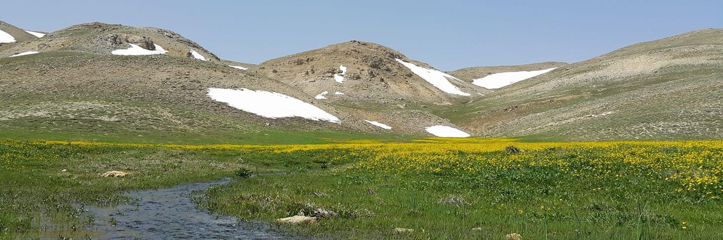mustafakkoca's profile banner image
