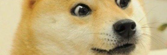 nicoseju's profile banner image