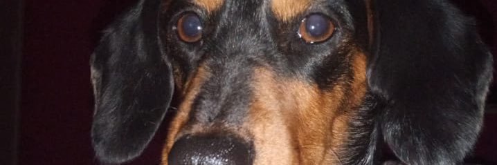 TragediaMC's profile banner image