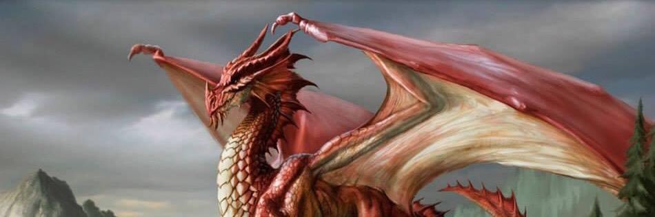 Dughan's profile banner image