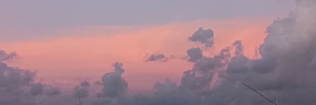 AliceSolis23's profile banner image