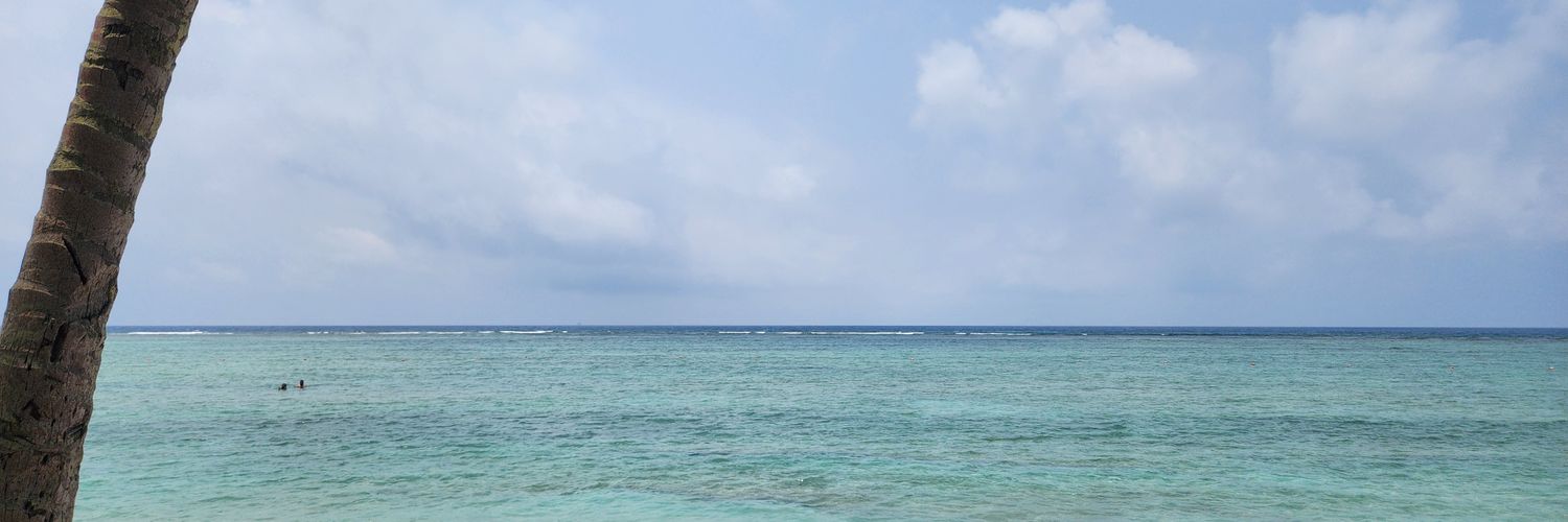 Jaya201's profile banner image