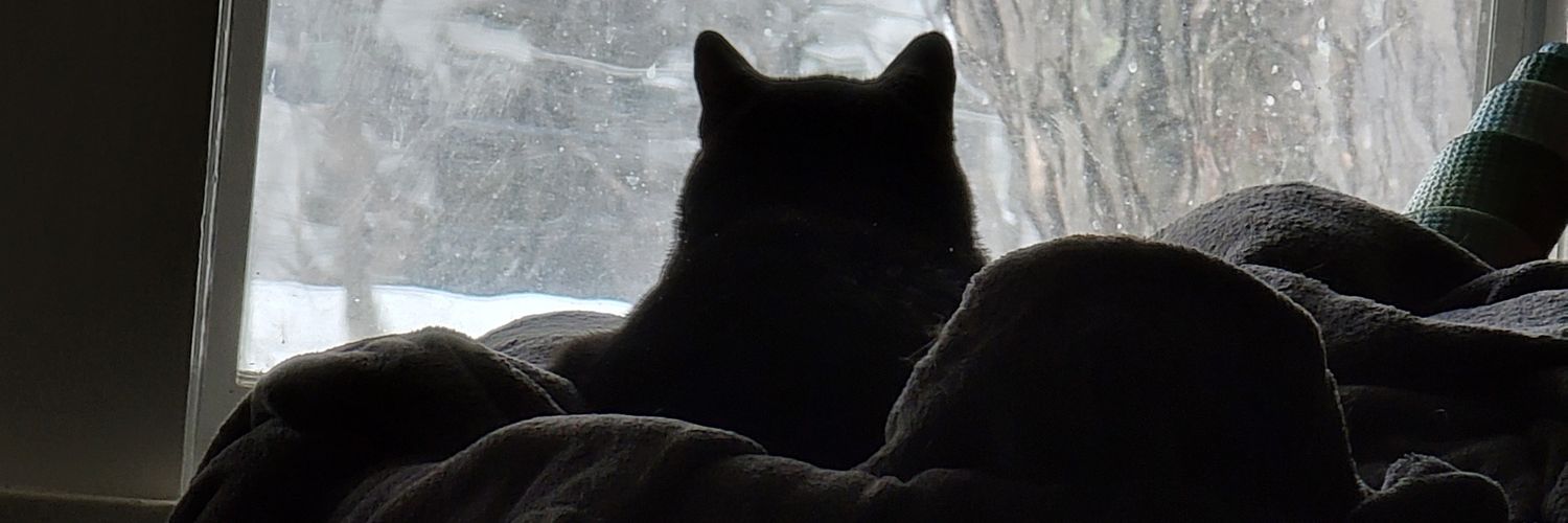 AlexanderLJenny's profile banner image