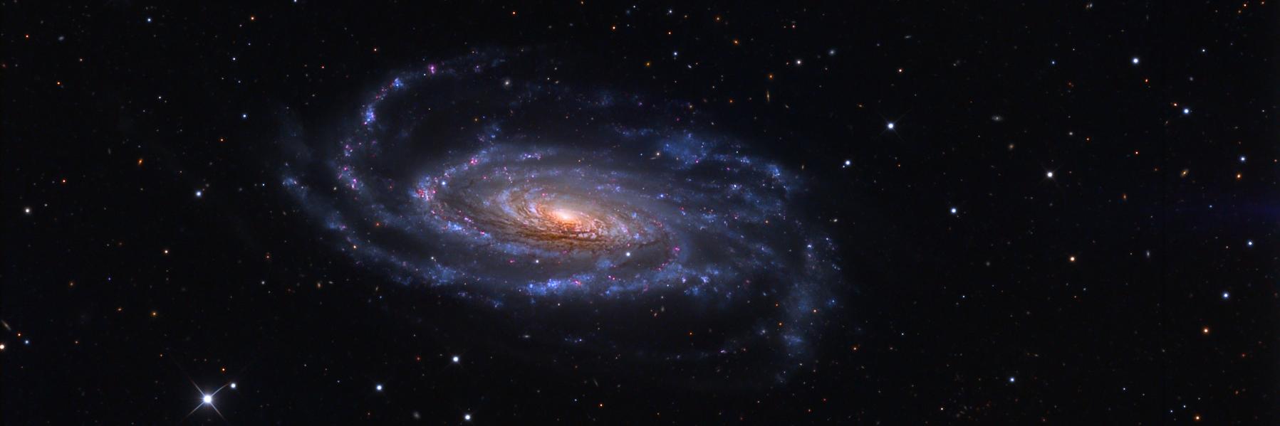 Michael A. Perlin banner