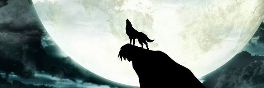 Rocha02__'s profile banner image