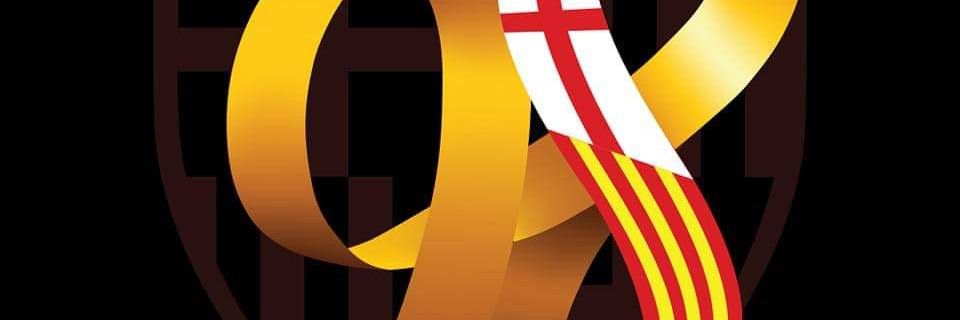 guevorys's profile banner image