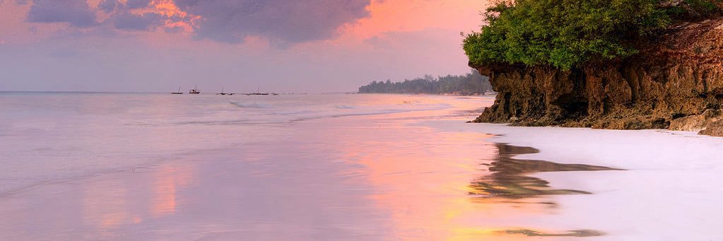 jalvareza78's profile banner image