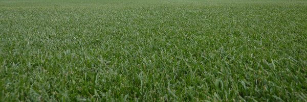 FootballScoop Profile Banner
