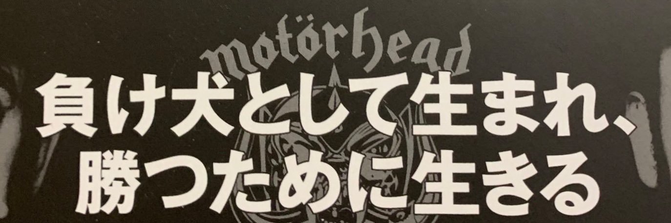 RobinTheSG's profile banner image