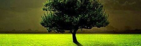 melistrk's profile banner image