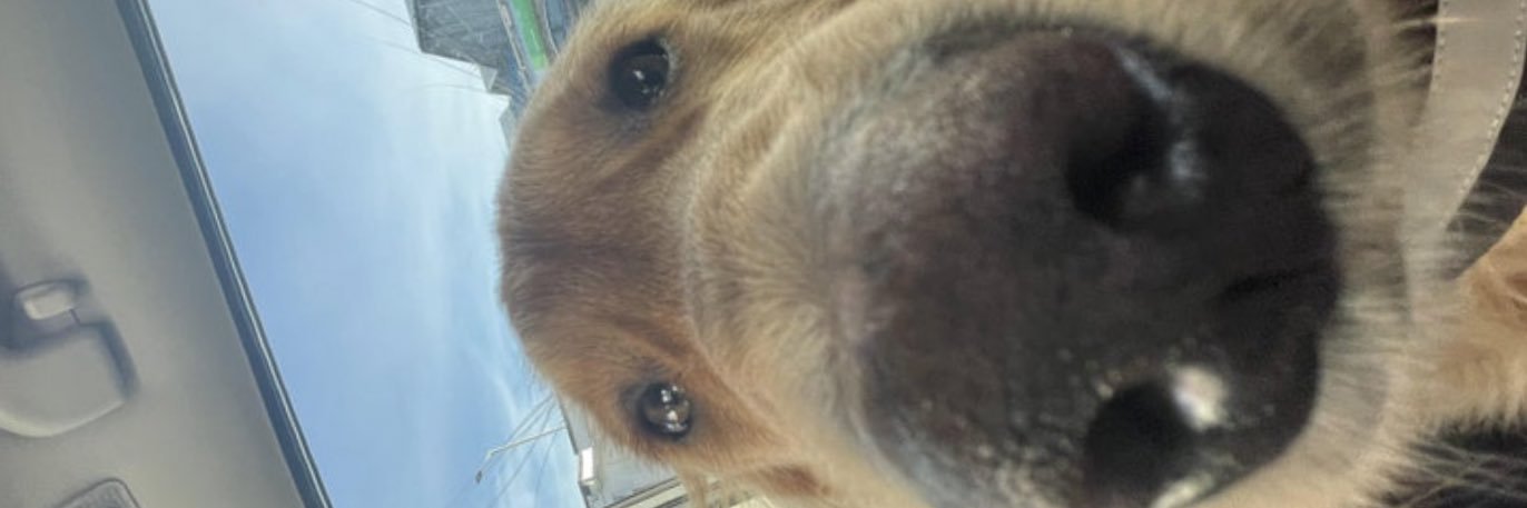 JoeyBerk's profile banner image