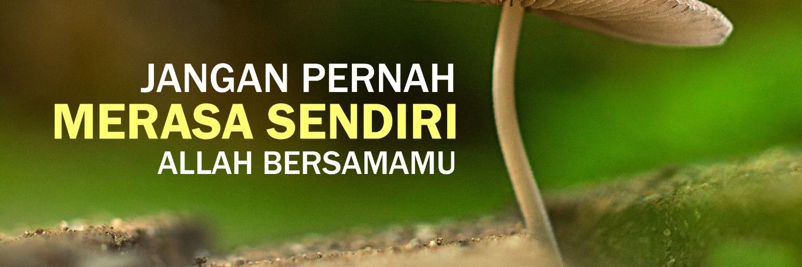 RoediUtomo's profile banner image