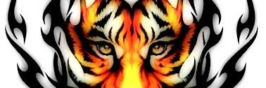 lsy8944's profile banner image