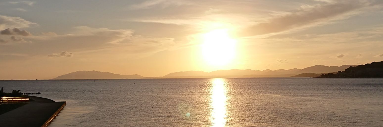 f1gogov's profile banner image