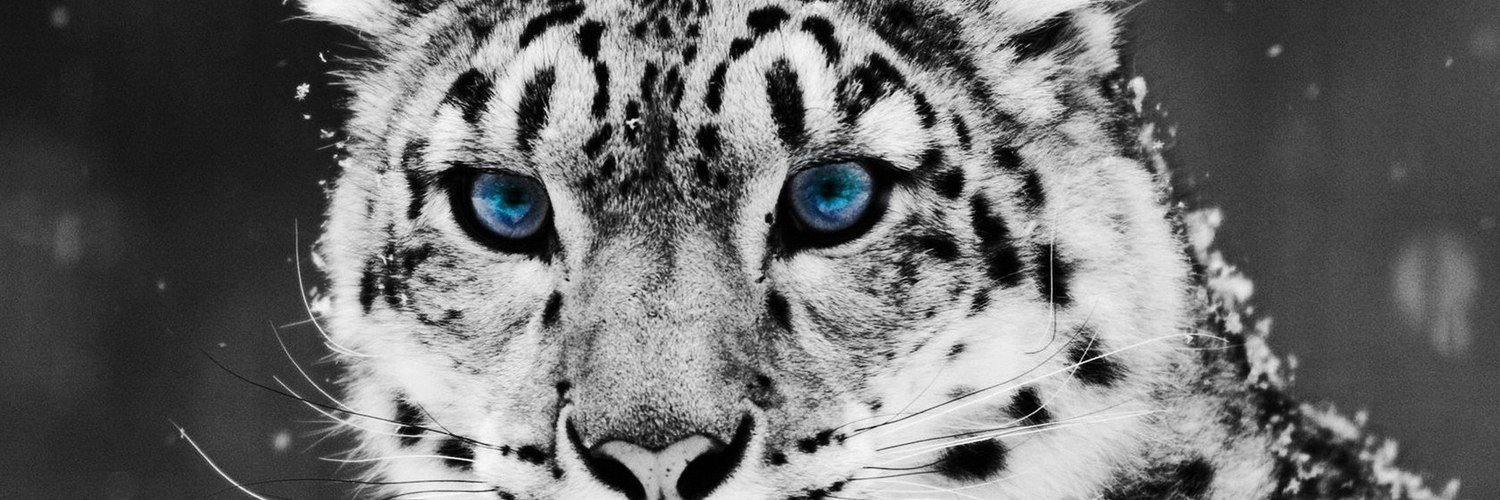 TarotackSocog's profile banner image