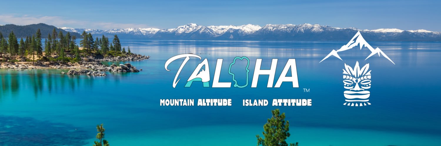 Arianne Zucker banner